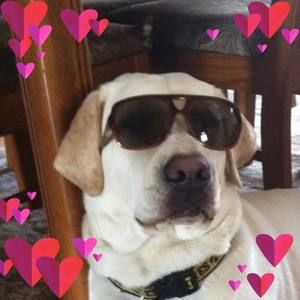 Meet your Posher, Stacy